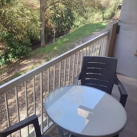 T 1 Avec Terrasse Face Riviere A 1 Min Des Thermes 그뢰오레방